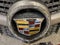 2010 Cadillac SRX Performance