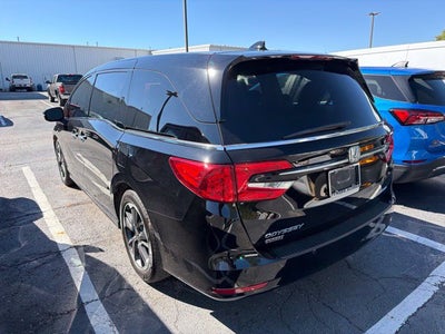 2024 Honda Odyssey Elite